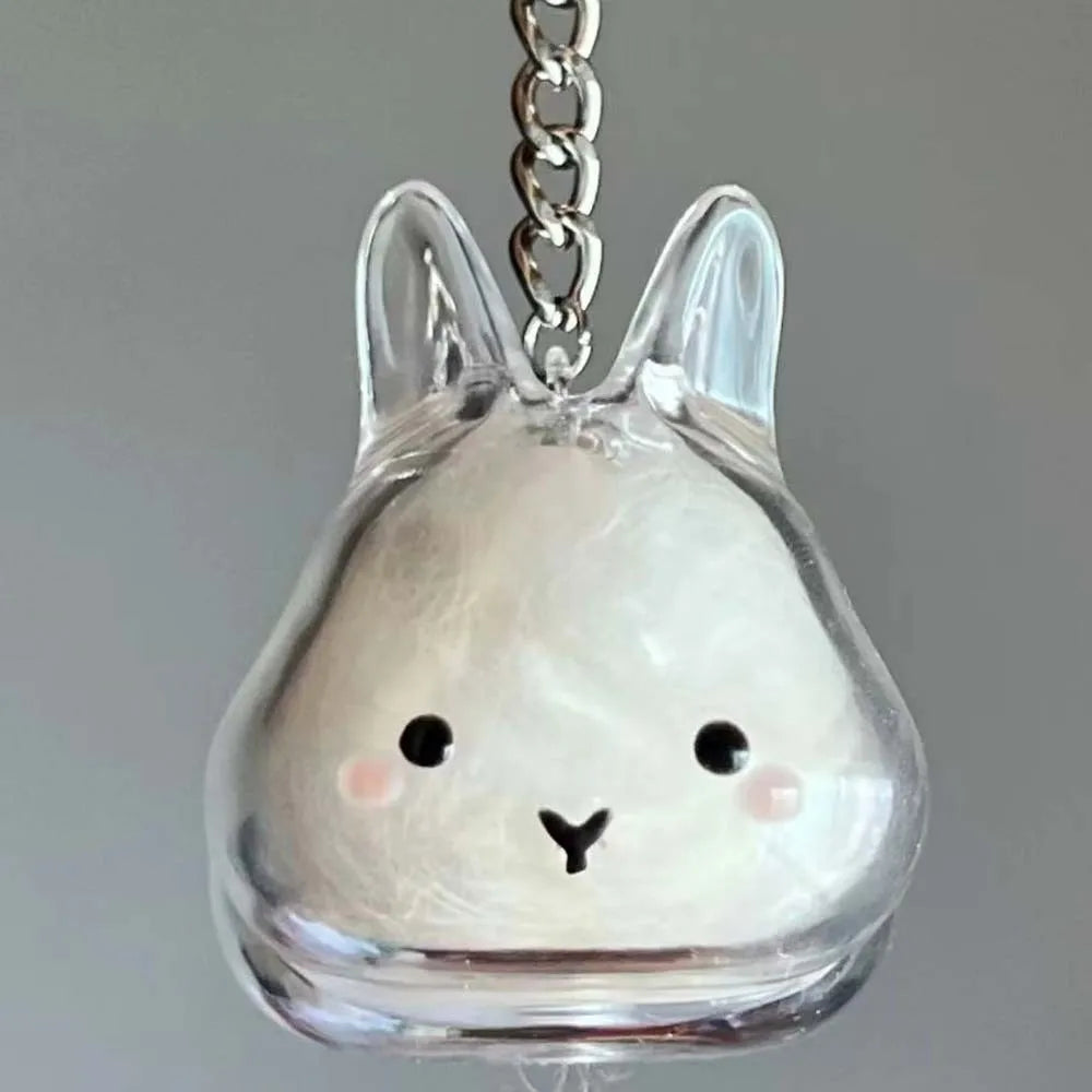 Transparent Acrylic Keychain Cat Hair Storage Capsule Handmade Animal Shaped Rabbit Hair Storage Box Cute Stylish