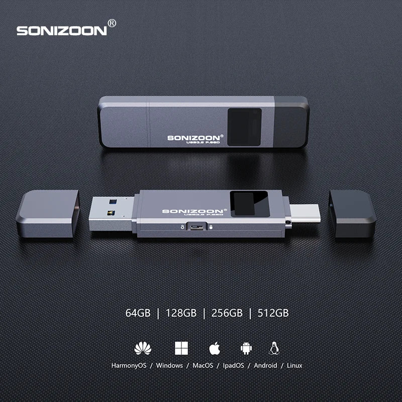 Sonizoon Fingerprint Encryption Portable SSD512/256GBWrite Protection Function Solid State USB Flash Drive TPYEC PenDrive USB3.2
