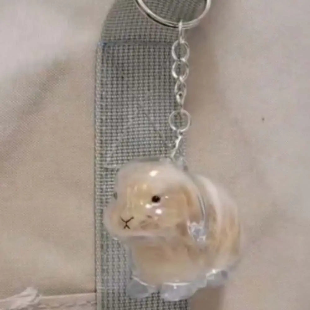 Transparent Acrylic Keychain Cat Hair Storage Capsule Handmade Animal Shaped Rabbit Hair Storage Box Cute Stylish